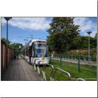 2017-08-05 3 Zwijndrecht Vredespark 7326.jpg